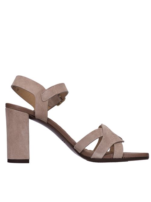 Sandali in camoscio CHIE MIHARA | BA-GUARA40 ANTEMOMO-TERRA